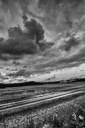 Sky Drama
